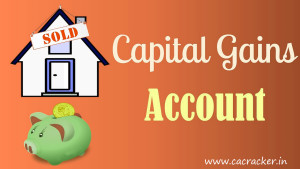 capital gain account scheme